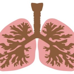 heal lungs